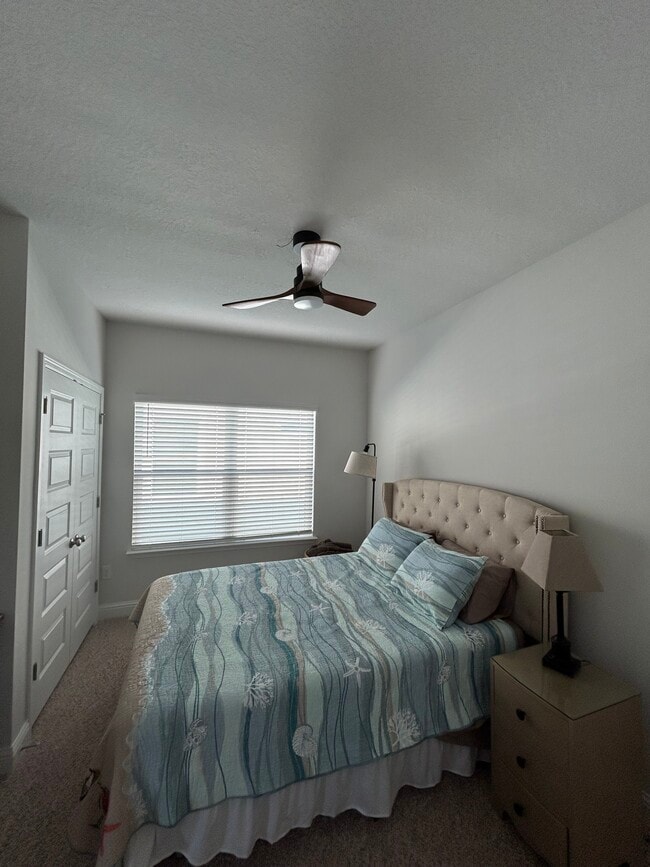 Foto del edificio - 141 Lightning Bug Ln
