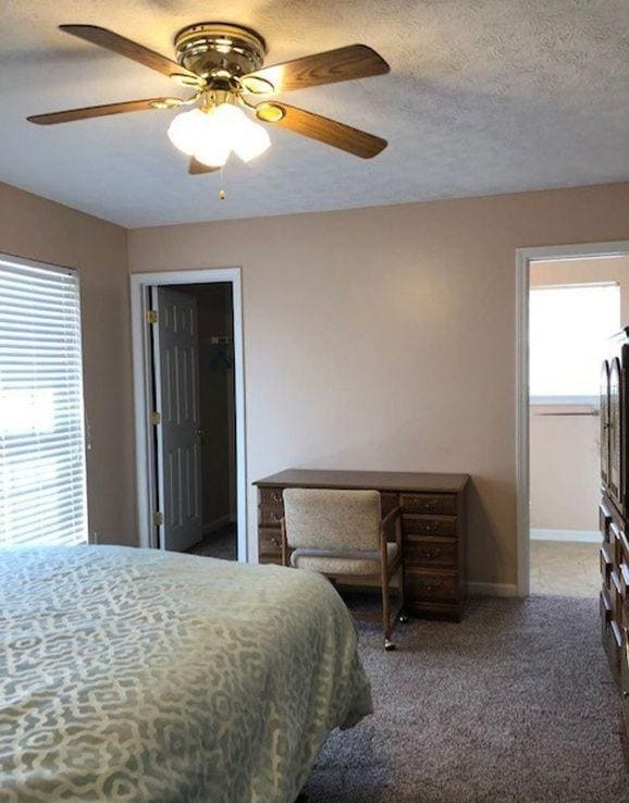 Building Photo - 5513 Ambervista Ct