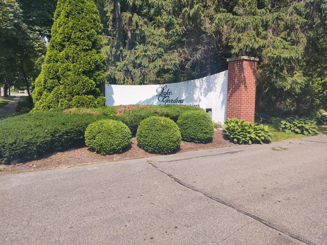 Primary Photo - 255 Elmwood Ave