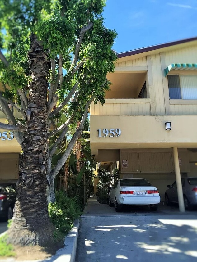 Primary Photo - Cheremoya Apartments