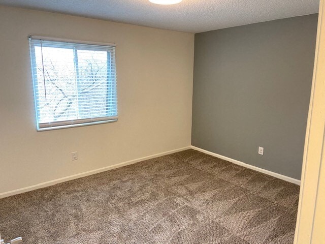 Interior Photo - NoRi