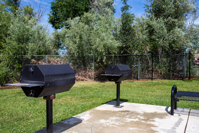 BBQ Area - Auburn Creek Apartments