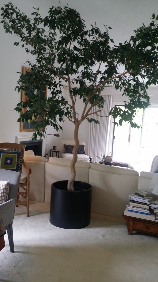 Living Room, overlooks deck. - 27 Abbey Rd