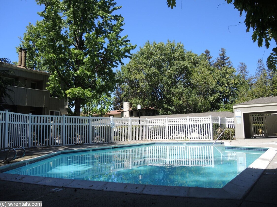 Primary Photo - 905 Apricot Ave