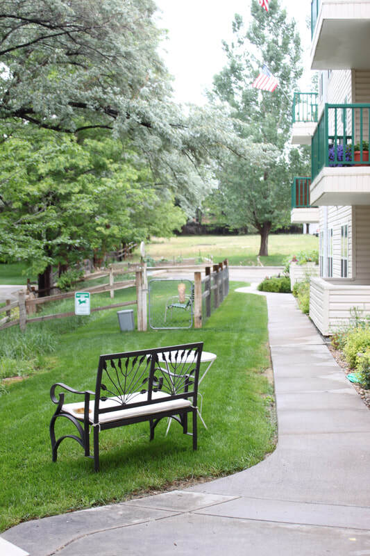 Back yard, pet exercise area, garden - 100 21st Ave