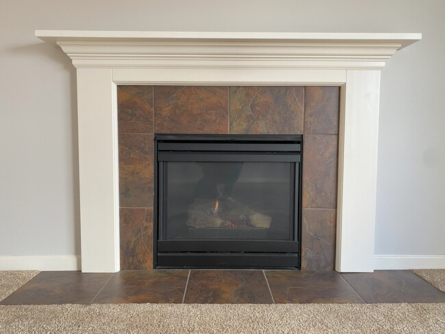 Gas Fireplace - 2901 Red Oak Rd