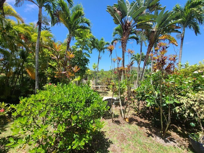 Foto del edificio - 1 bed, 1 bath furnished in tranquil Norfolk