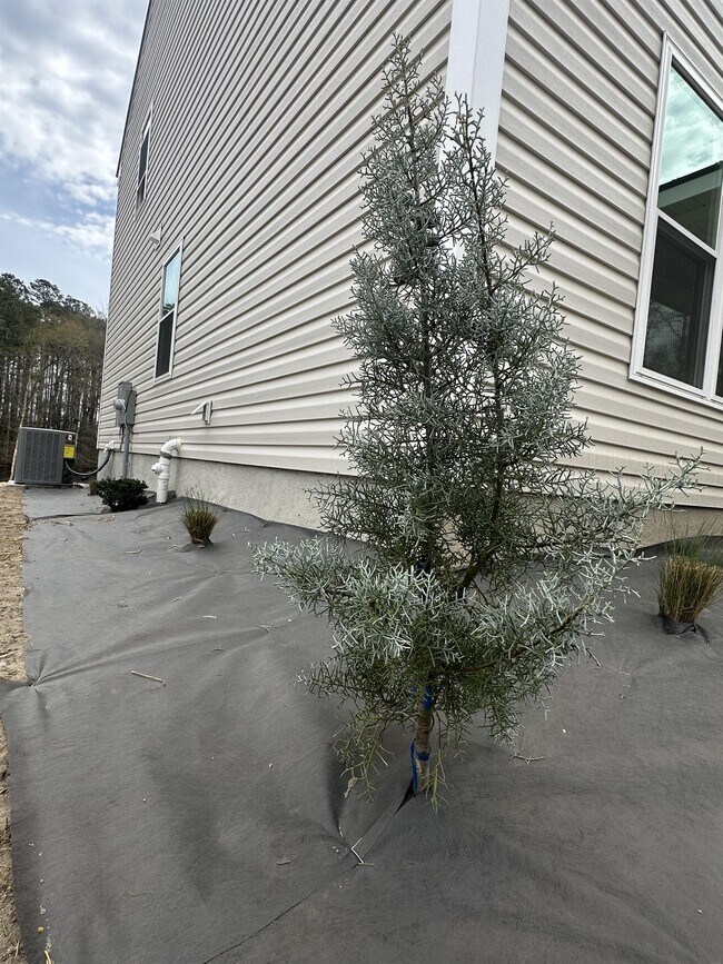 Building Photo - 157 N Clarendon Dr