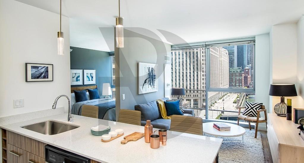 343 W Wolf Point Plaza Unit 2207, Chicago, IL 60654 Apartment for