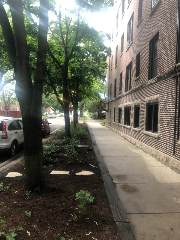 Photo - 1726 W Thome Ave