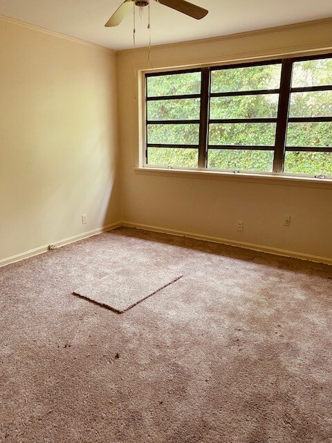 Building Photo - Intown Cottage