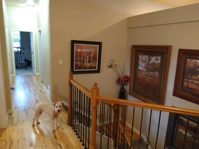 Foto del edificio - 2331 Ledgewood Dr