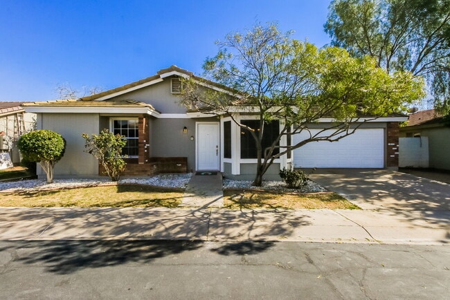 Building Photo - 1616 N Alta Mesa Dr