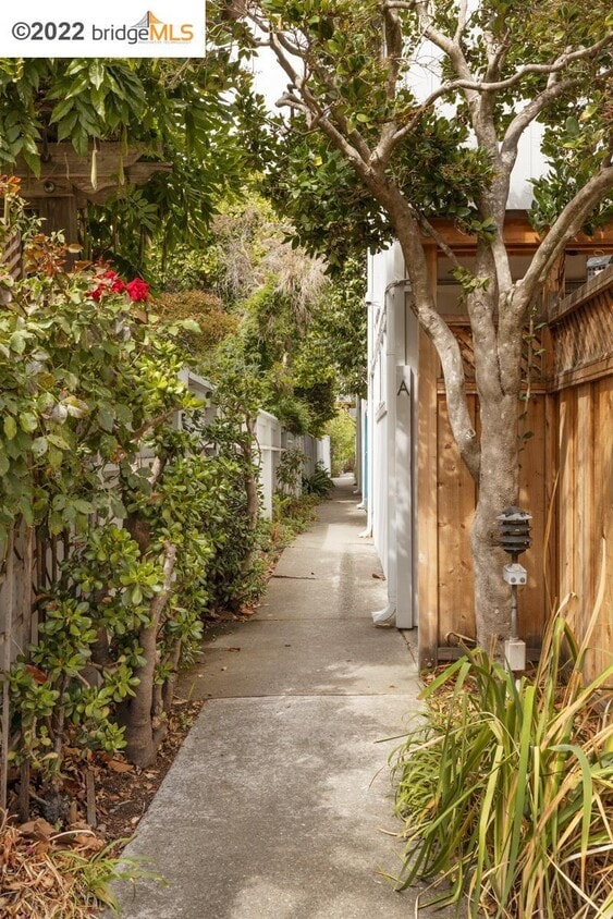 1733 Francisco St, Berkeley, CA 94703 Townhome Rentals in Berkeley CA