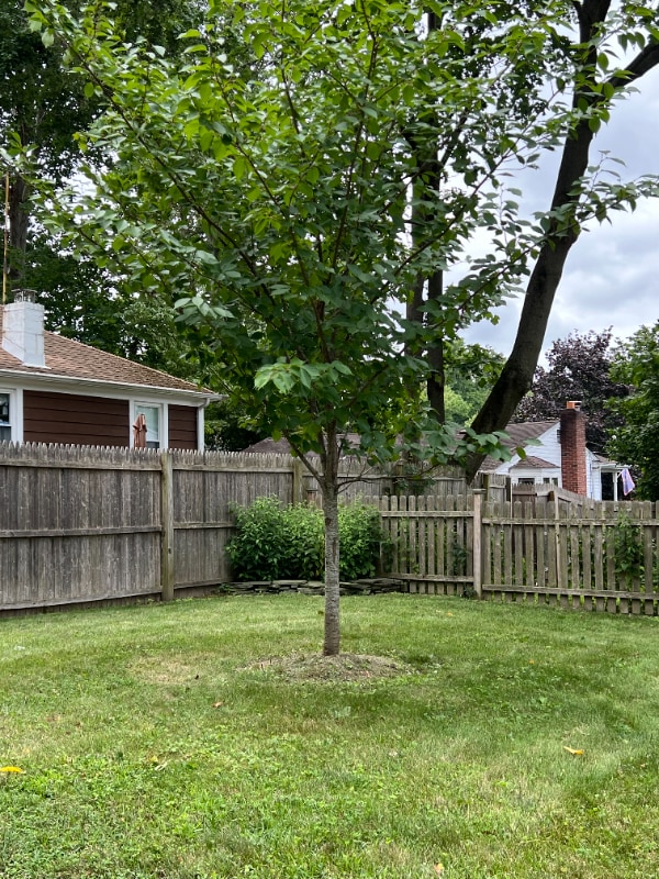 Primary Photo - 33 Laurel Rd