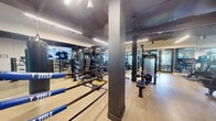 This fitness center is a thoughtfully designed, single-floor facility that offers a comprehensive range of workout equipment across distinct functional zones. The space features light wood-tone flooring in the strength areas and darker rubberized flooring in the cardio and free weight sections, providing clear visual separation between zones.

The strength training area is anchored by a multi-functional power rack system with barbells, weight plates marked with yellow safety indicators, and a full dumbbell rack spanning a wide range of weights. Cable machines and cable crossover stations are positioned throughout, supported by dark structural columns that contribute to the space's industrial-modern aesthetic.

The cardio zone is equipped with Peloton stationary bikes, multiple treadmills, and stair climbers, all positioned near large glass doors and windows that invite natural light and offer views of an outdoor area. Full-length mirrors line the walls throughout, amplifying the sense of space and allowing users to monitor their form during workouts.

Overhead, linear LED lighting runs the length of the ceiling, providing bright, even illumination. A colorful mural adds a dynamic visual focal point to one wall, enhancing the overall energetic atmosphere of the facility.