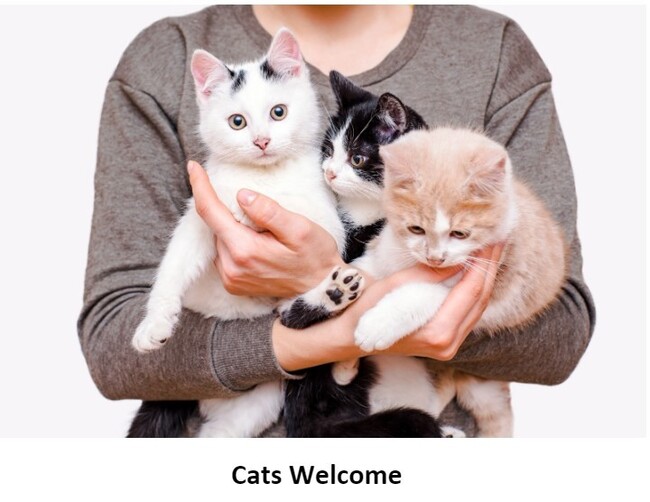 Cats Welcome - Highland Spring Villas