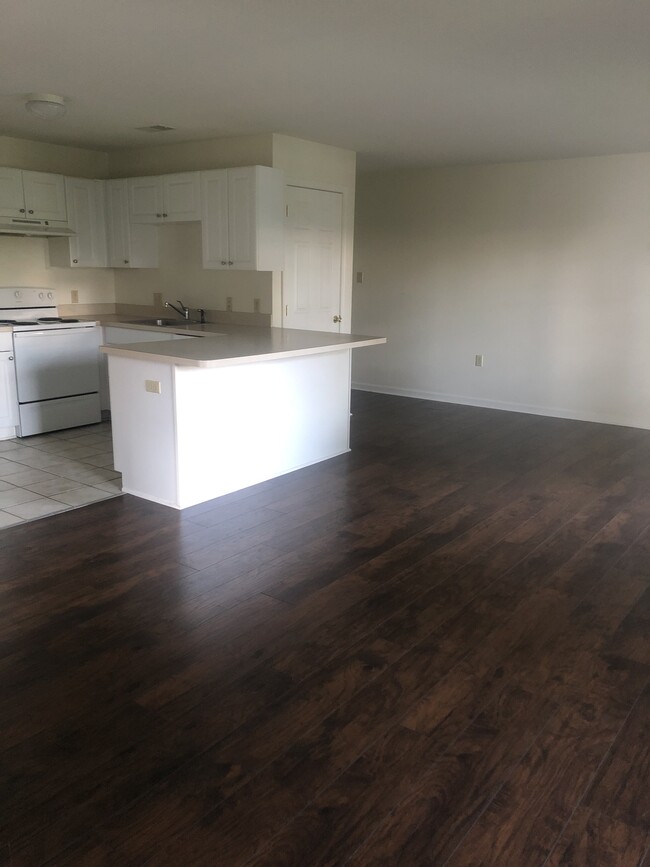 Kitchen/Living Area - 41 Media Line Rd
