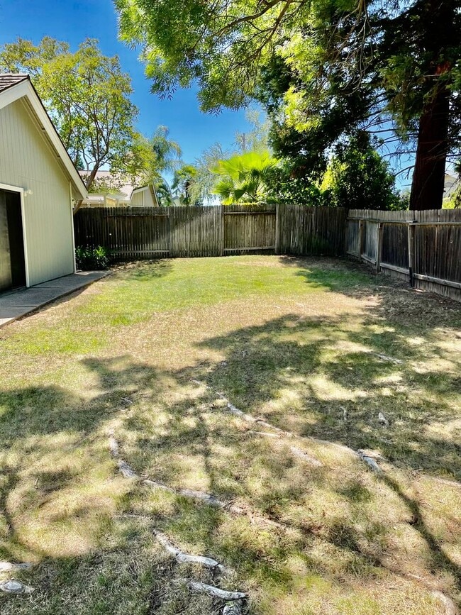 Building Photo - 1412 Mother Lode Dr