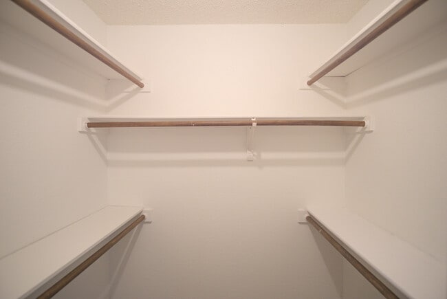 Building Photo - 2089 Paint Pony Ln