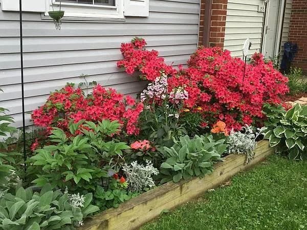 Great 3 bedroom in Leesburg - Great 3 bedroom in Leesburg Apartment