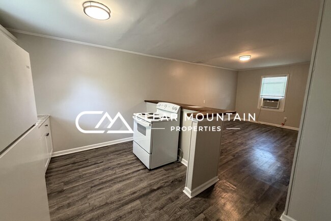 Foto del edificio - Renovated 2-Bedroom Apartment Just 1 Mile from Downtown Greer!