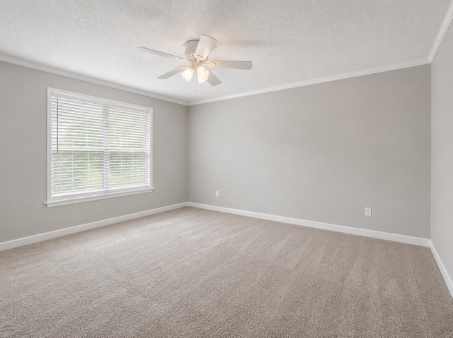 Building Photo - 545 Oneida Ct