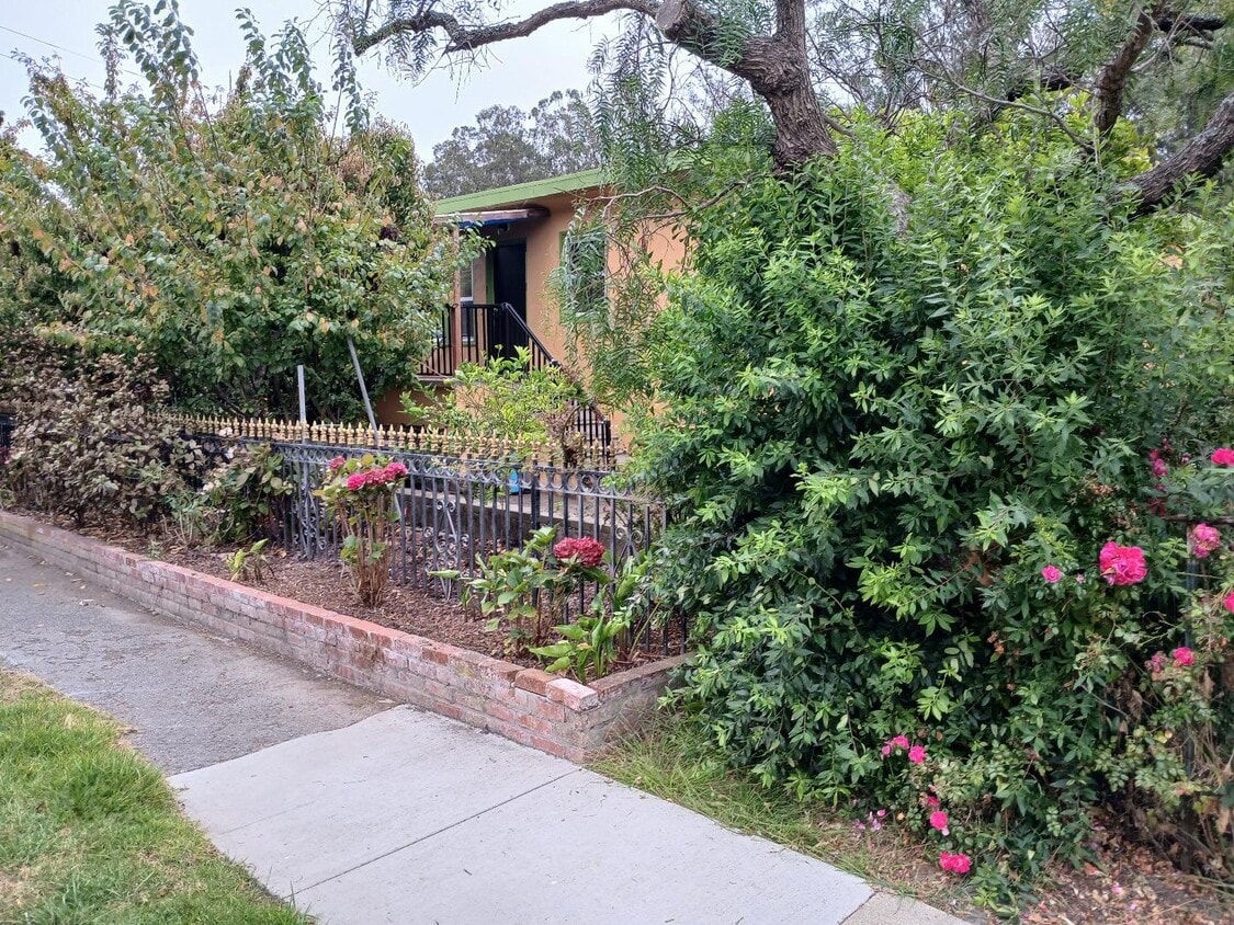 Building Photo - 411 San Carlos Ave