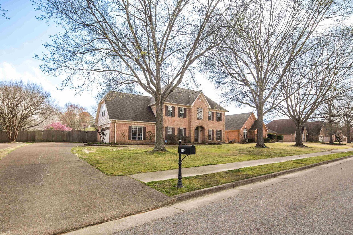 Primary Photo - 115 Cottonwood Dr