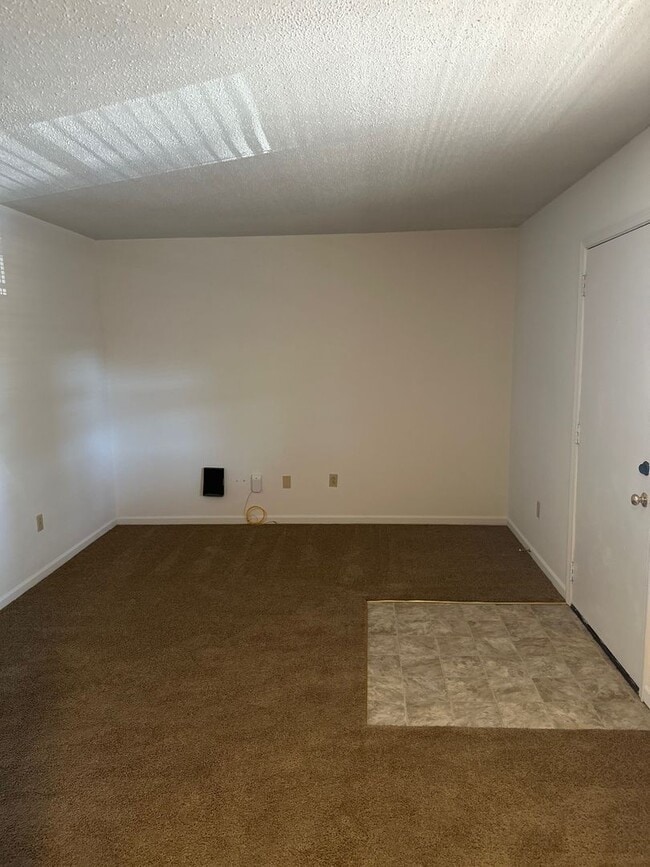 Interior Photo - Stadium Apartments