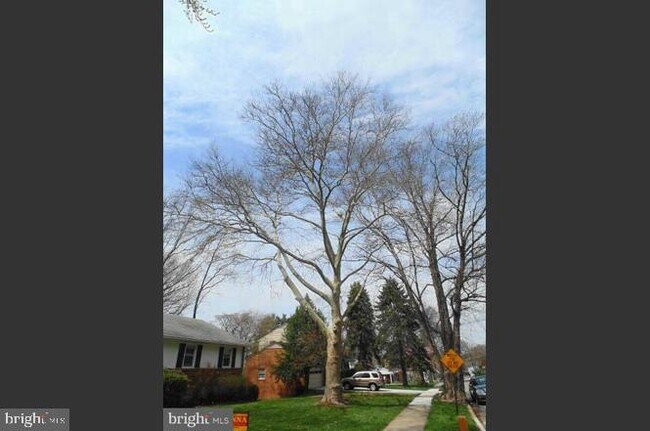 Foto del edificio - 306 Old Courthouse Rd NE