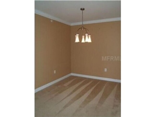 Building Photo - NEWER AND SPACIOUS CONDO IN NEW TAMPA