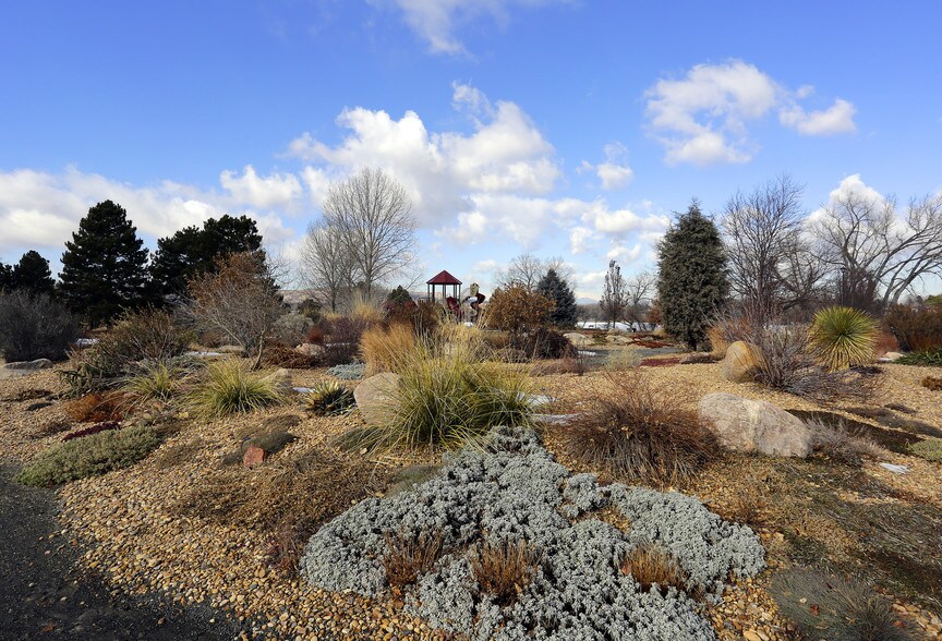 Picture of Kendrick Lake Lakewood