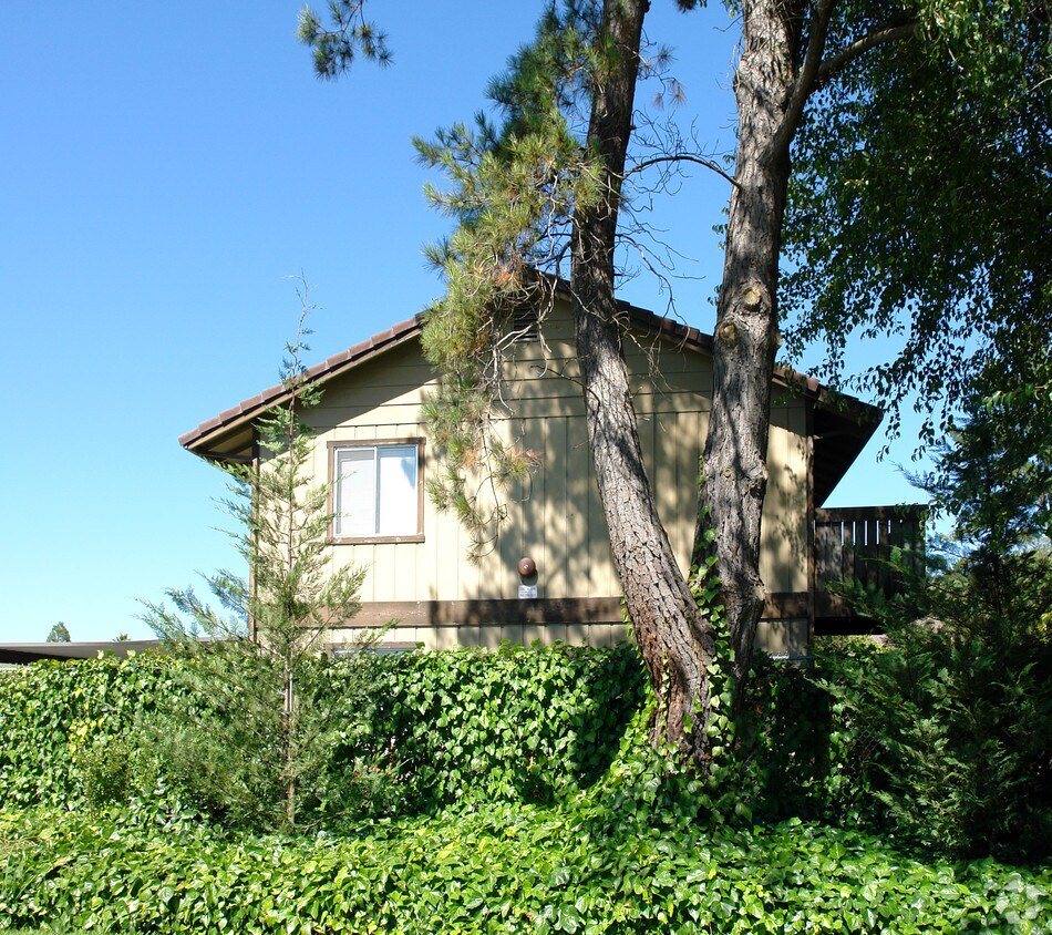 Foto del edificio - 814 Carlita Cir