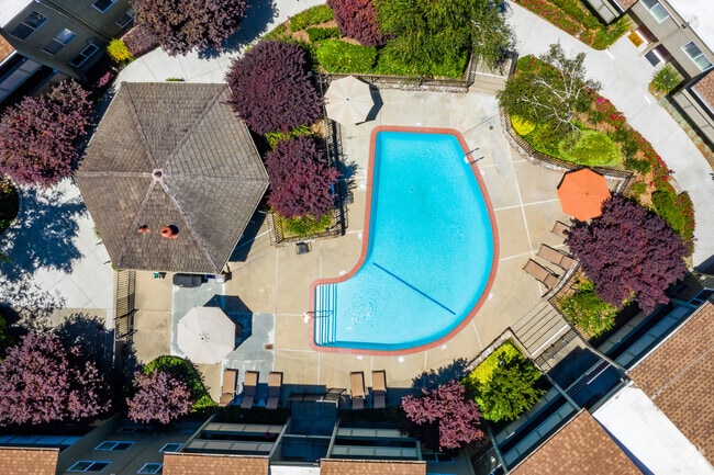 Pool - Town House Plaza