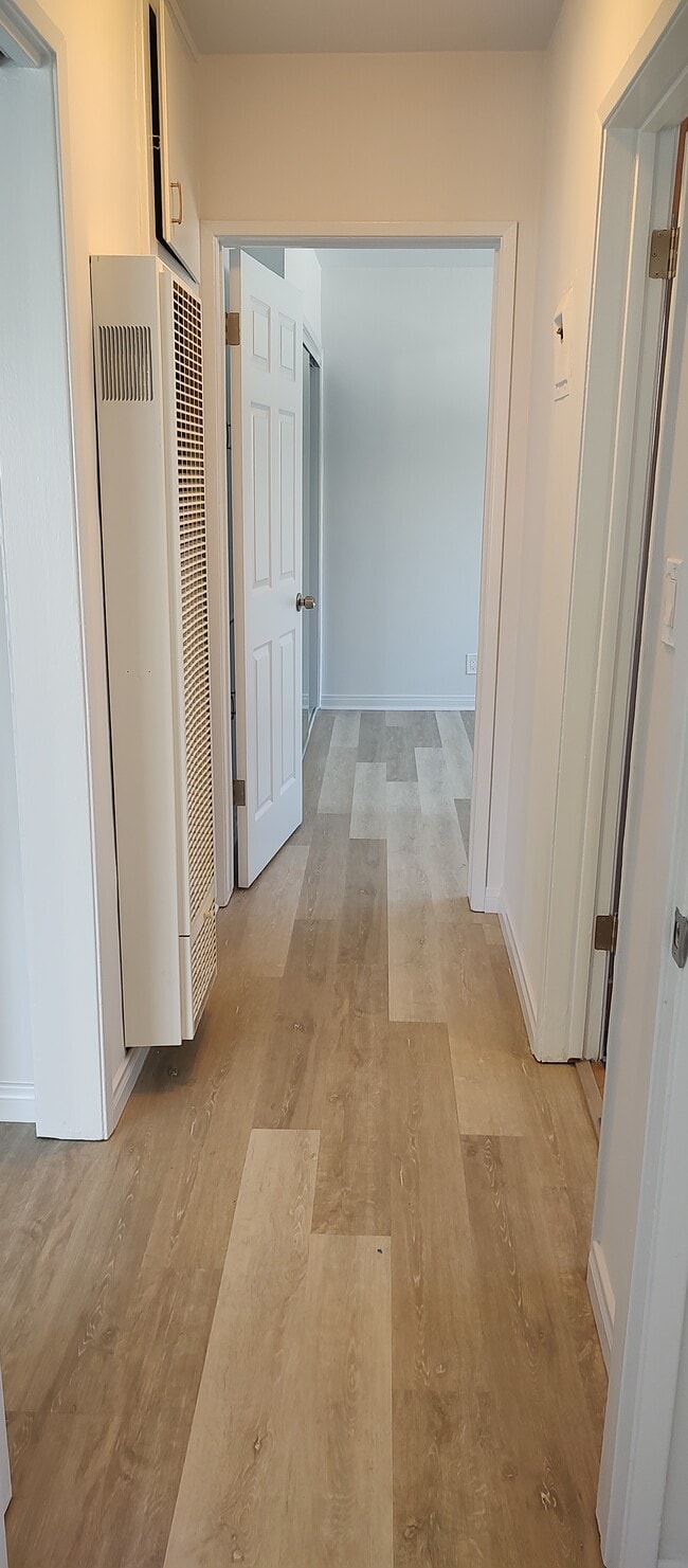 HALL AND CLOSET - 1217 S Orange Grove Ave