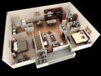 Aster Vista