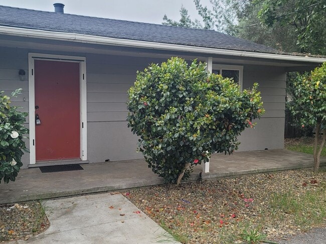 Foto del edificio - 380 Yolanda Ave