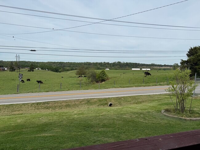 Foto del edificio - 1601 Steadmantown Ln