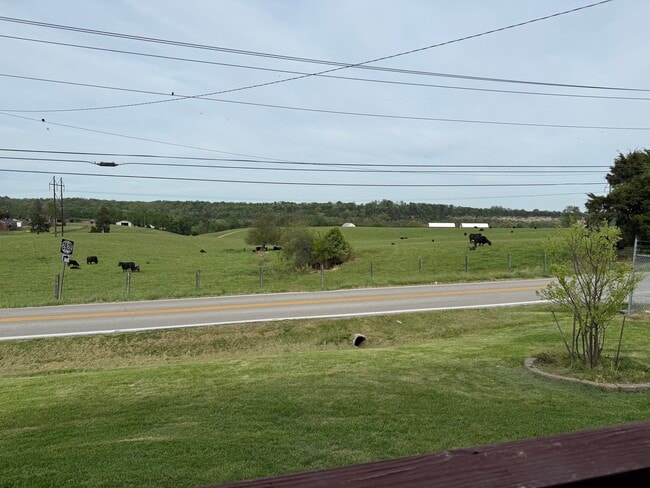 Building Photo - 1601 Steadmantown Ln