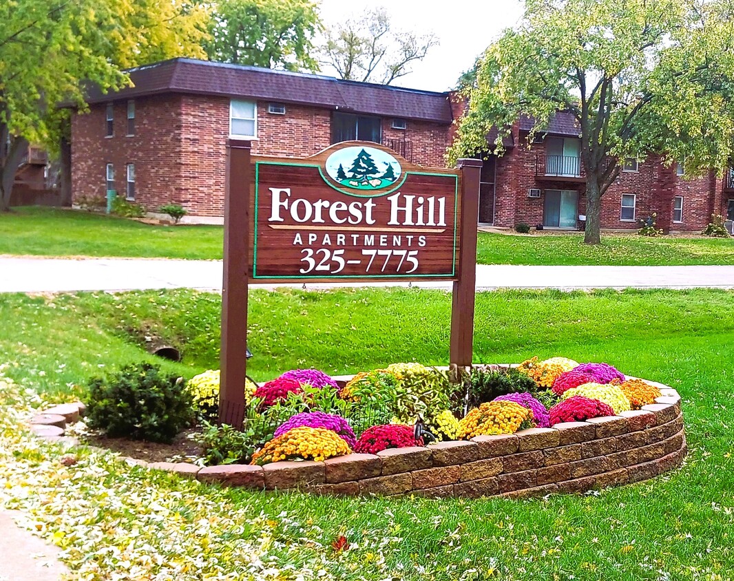 Primary Photo - Forest Hill Apartments