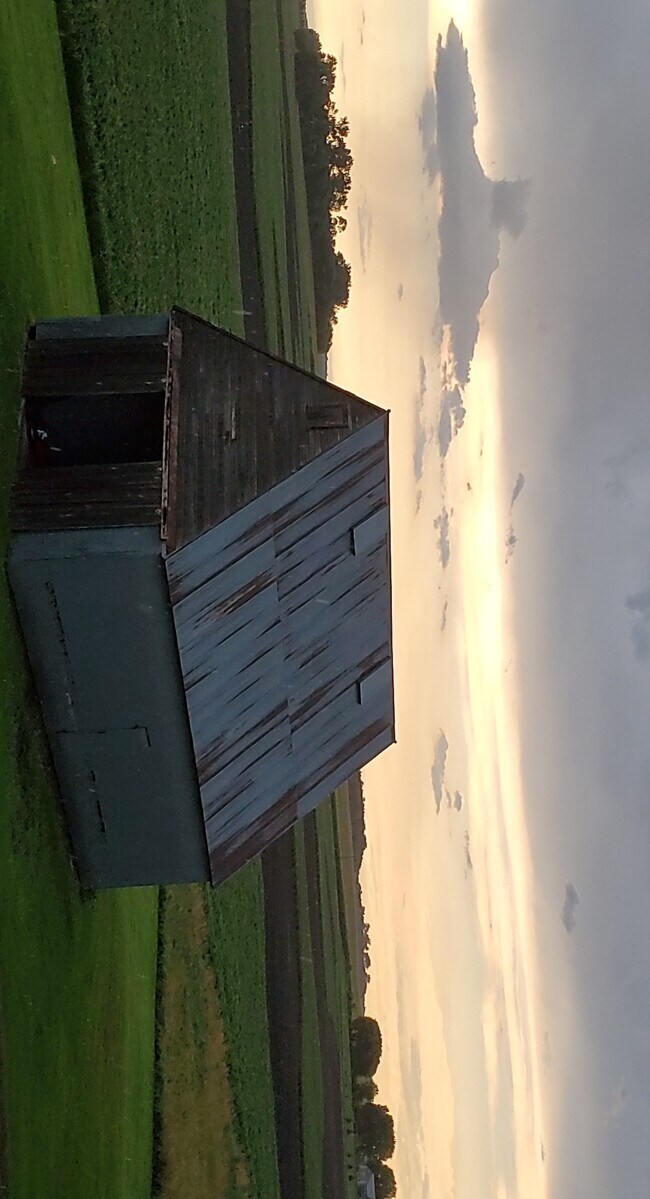 37331 Co Rd 17, Bird Island, MN 55310 House Rental in Bird Island, MN