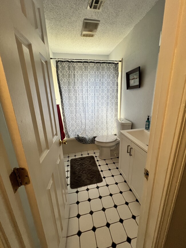 Guest bathroom - 2025 Hempstead Dr