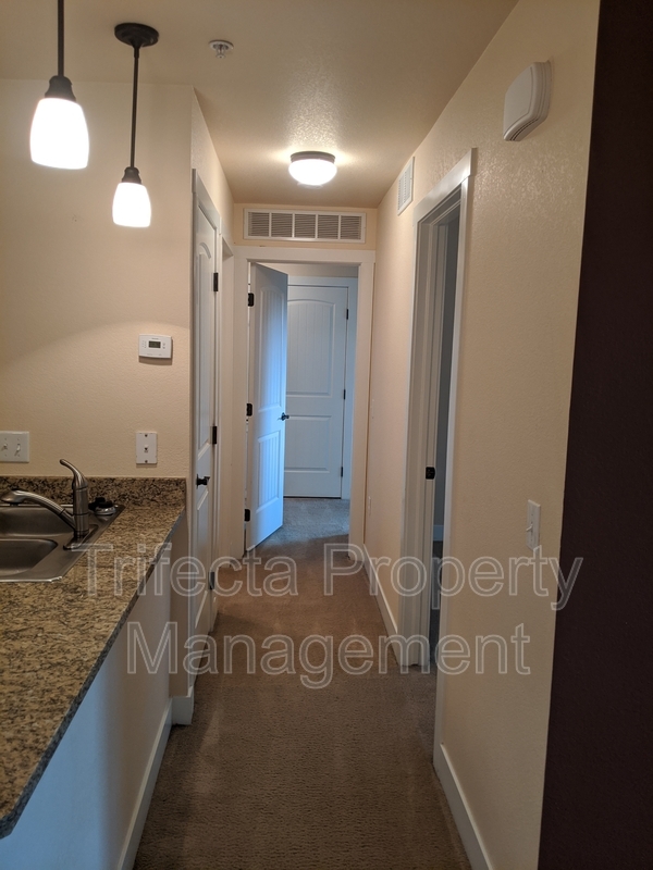 Foto del edificio - 2445 Windrow Dr