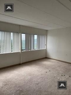 Building Photo - 2 bedroom in Brighton MA 02135