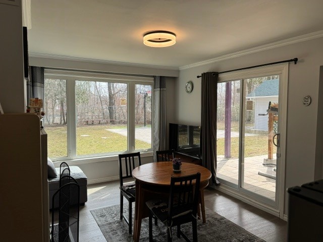 Building Photo - 25 Nightingale Pl