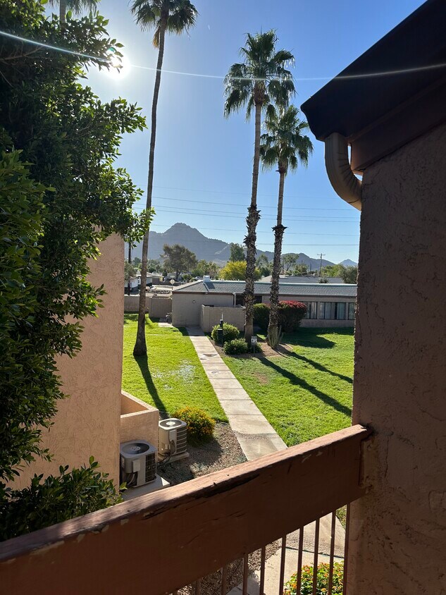 7550 N 12th St Unit 241, Phoenix, AZ 85020 Condo for Rent in Phoenix