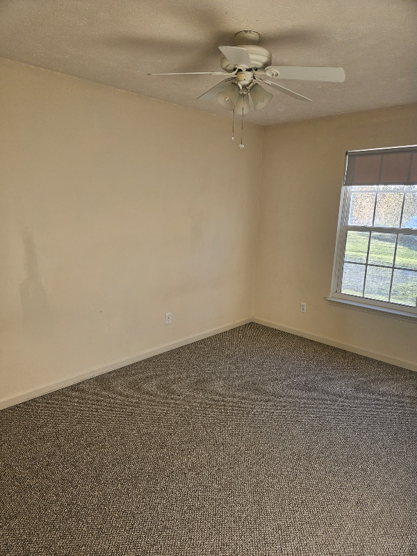 Foto del edificio - 58 Haven Ct