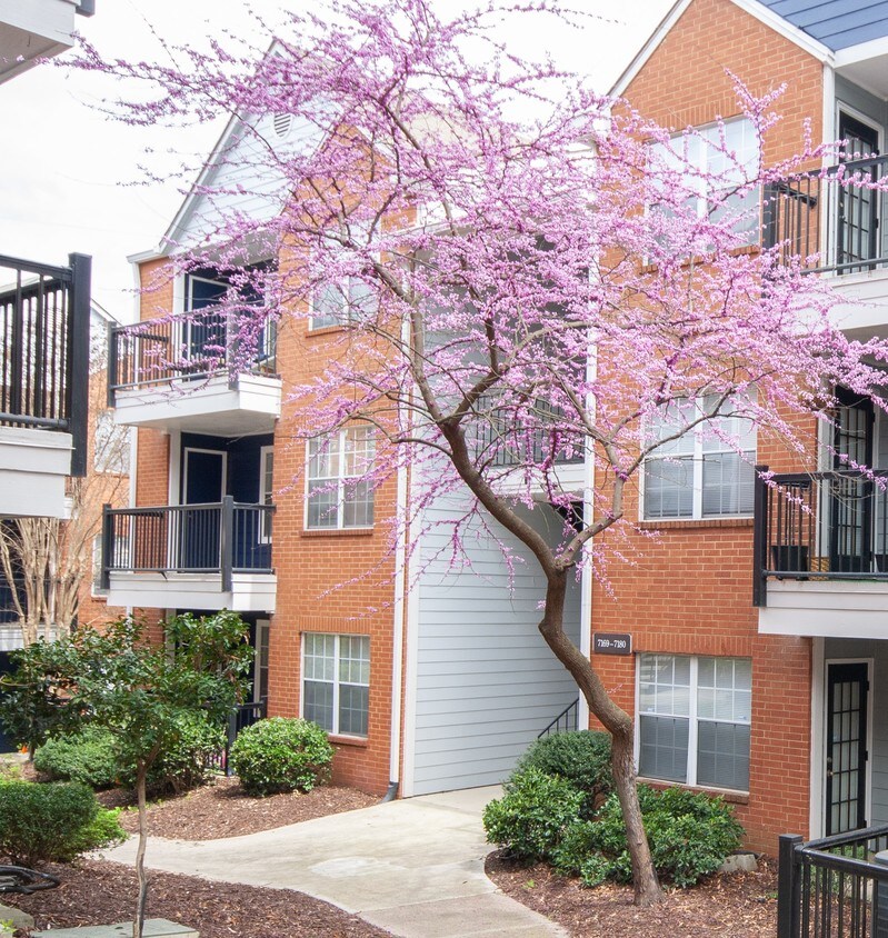 Brookwood Valley Apartments Atlanta, GA