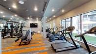 Located at Main & Clay, this well-appointed fitness center offers a comprehensive workout environment designed to meet a wide range of training needs. The space is laid out across a single floor and features a bold, contemporary aesthetic, with a distinctive gray and orange-striped carpet that visually defines the workout zones and adds an energetic feel to the interior.

The cardio section lines the perimeter wall of large windows, providing users with natural light and outdoor views while using treadmills and elliptical machines. Recessed ceiling lighting supplements the natural brightness throughout the space, ensuring a well-lit environment at all hours.

The strength training area is well-equipped with a variety of cable and selectorized machines, a squat rack with barbell and weight plates, an adjustable workout bench, and a full dumbbell rack offering a wide range of free weights. Medicine balls and a stability ball round out the functional fitness offerings.

Full-length mirrors line one wall, amplifying the sense of space and allowing for proper form checks during exercise. A wall-mounted flat-screen television provides entertainment options for cardio sessions. Glass double doors connect the fitness center to an adjacent area, while additional doors open to an outdoor space visible through the windows. The overall ambiance is modern, clean, and motivating.